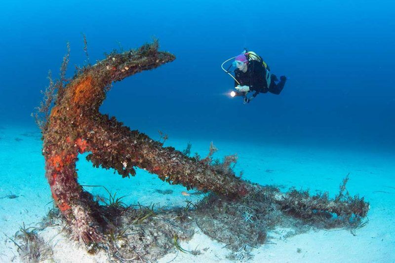 Octopus Garden Diving Center