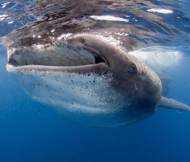 Gruppenreise Nosy Be, Madagaskar, September 2026
