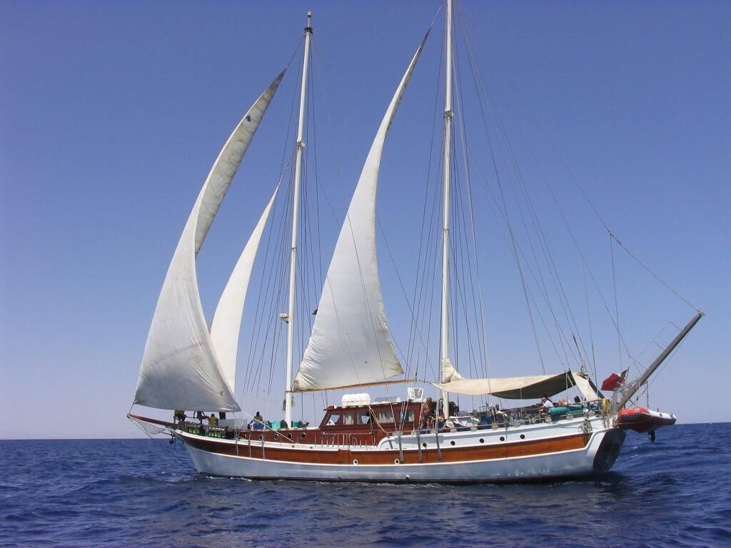 MSY Elegante - Djibouti