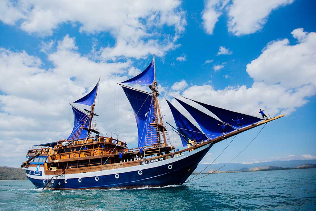 Sea Safari VII