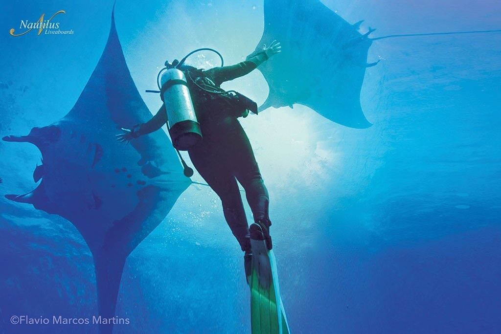 Nautilus Explorer - Socorro
