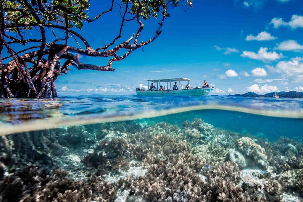 Cove Eco Resort Tauchbasis