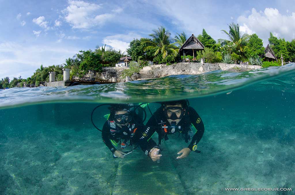 Dive College