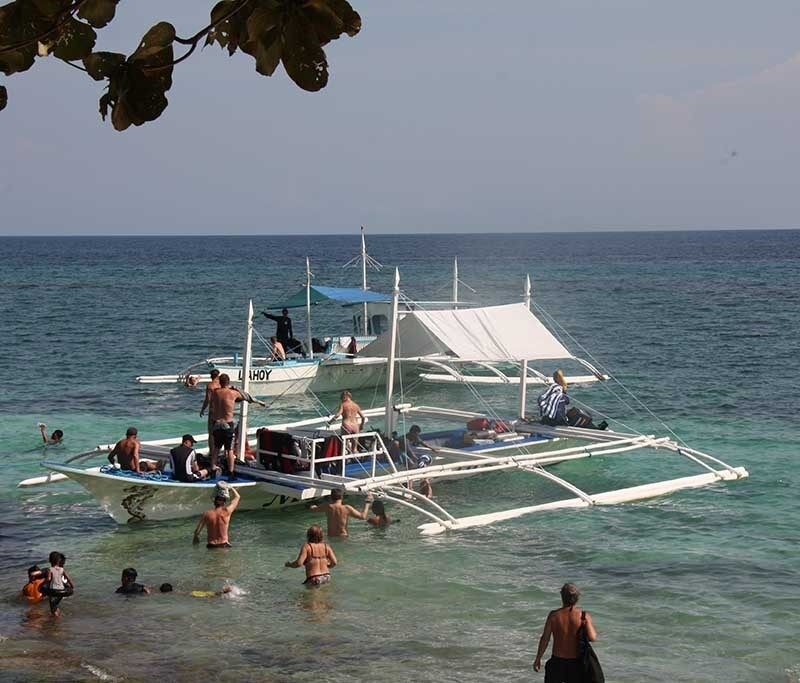 Magic Oceans Buddy-Angebot!