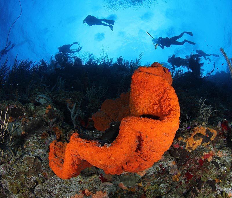 All In One Watersports