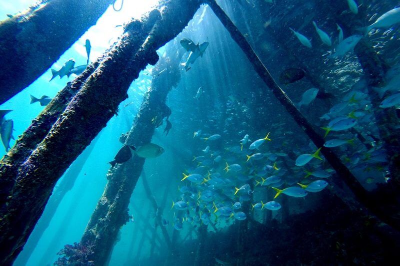 Raja Ampat Dive Lodge Tauchbasis