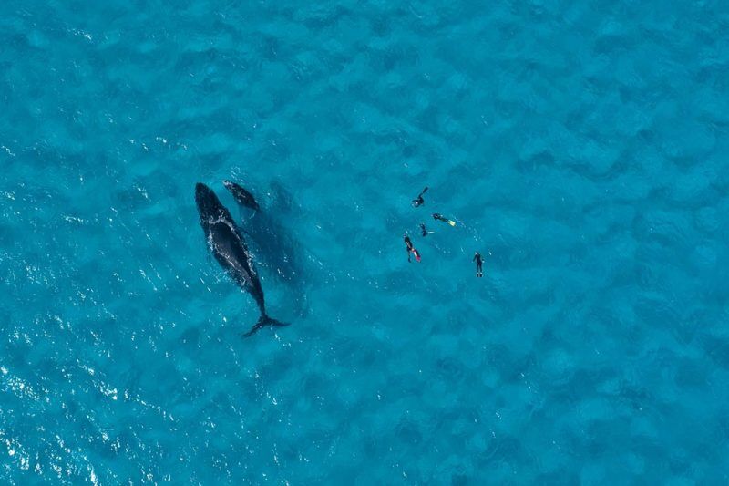 Matafonua Lodge - Foa Island