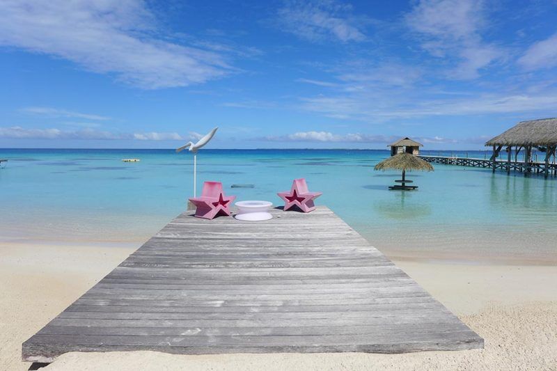 Meet The Sharks: 19 Tage Fakarava Nord & Süd