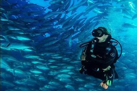 Cabo Pulmo Dive Shop