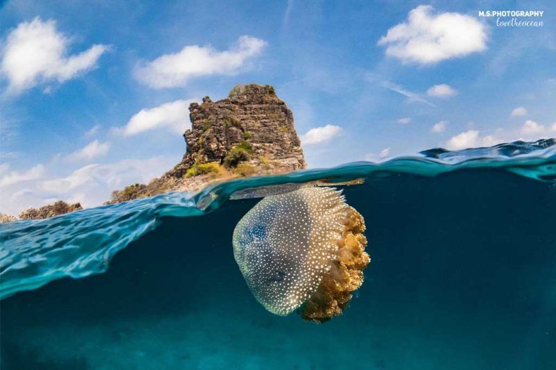 Ko Lanta Diving Center