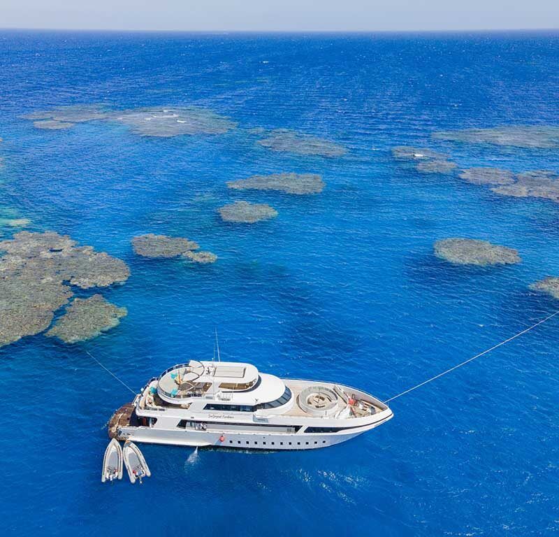 Sea Serpent Excellence