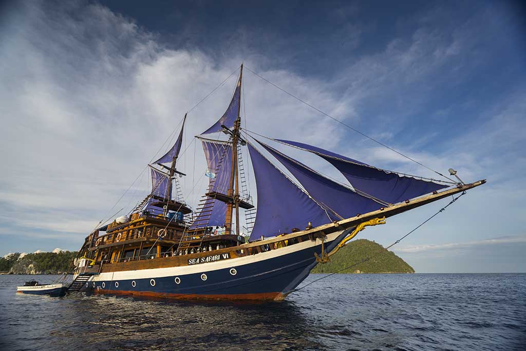 Sea Safari VI