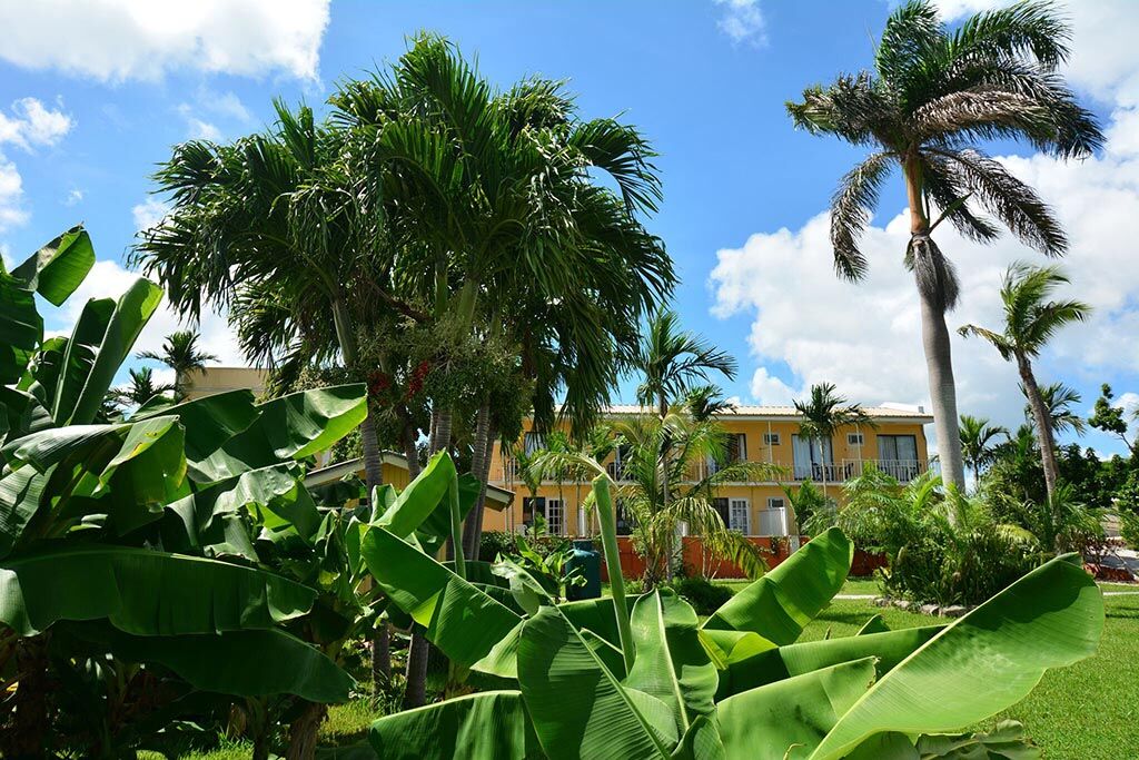 01 orange hill inn nassau bahamas