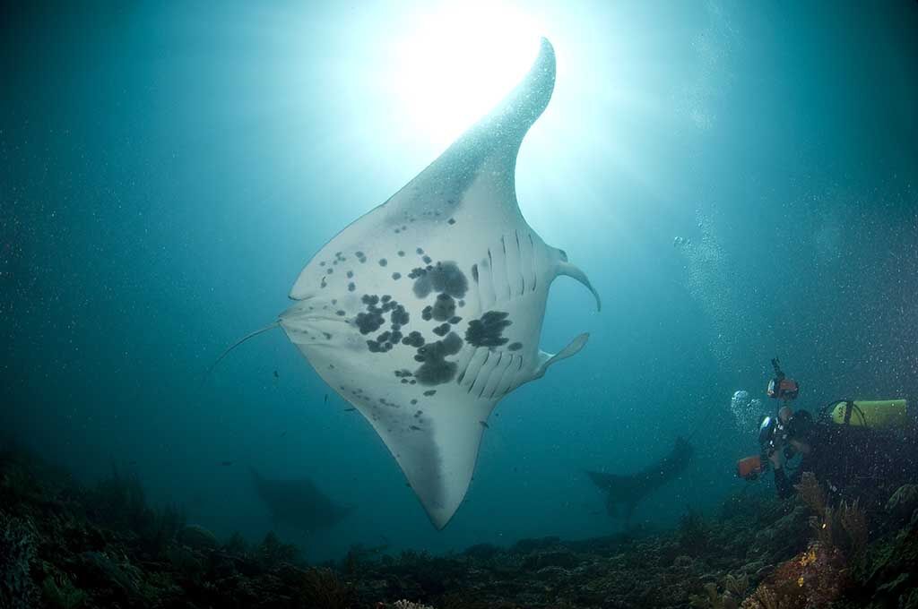 Fun Dive Asia