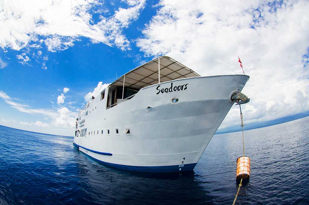 Seadoors - Rabatt auf Tauchsafaris in Juni & Juli