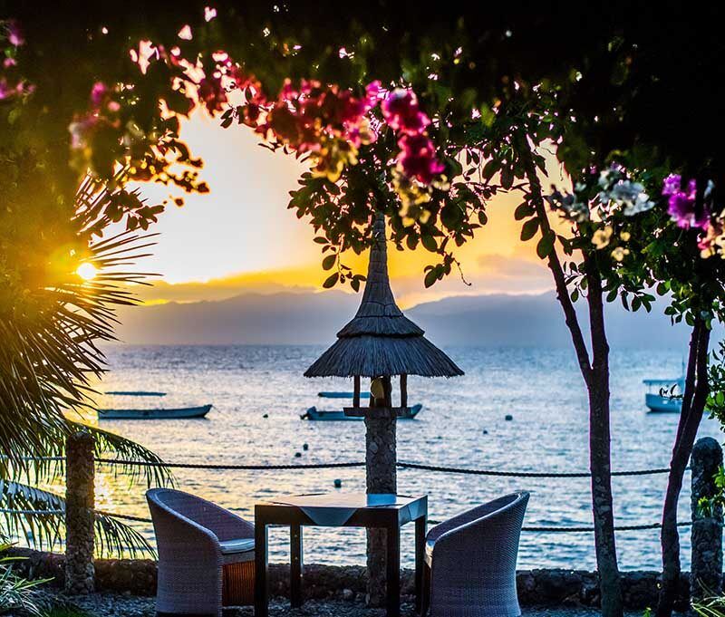 Dolphin House Moalboal: Sommer-Angebot 2027