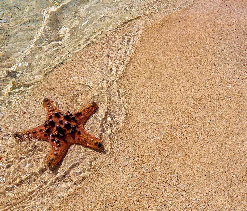 Saronde Island Resort - Herbstangebot!